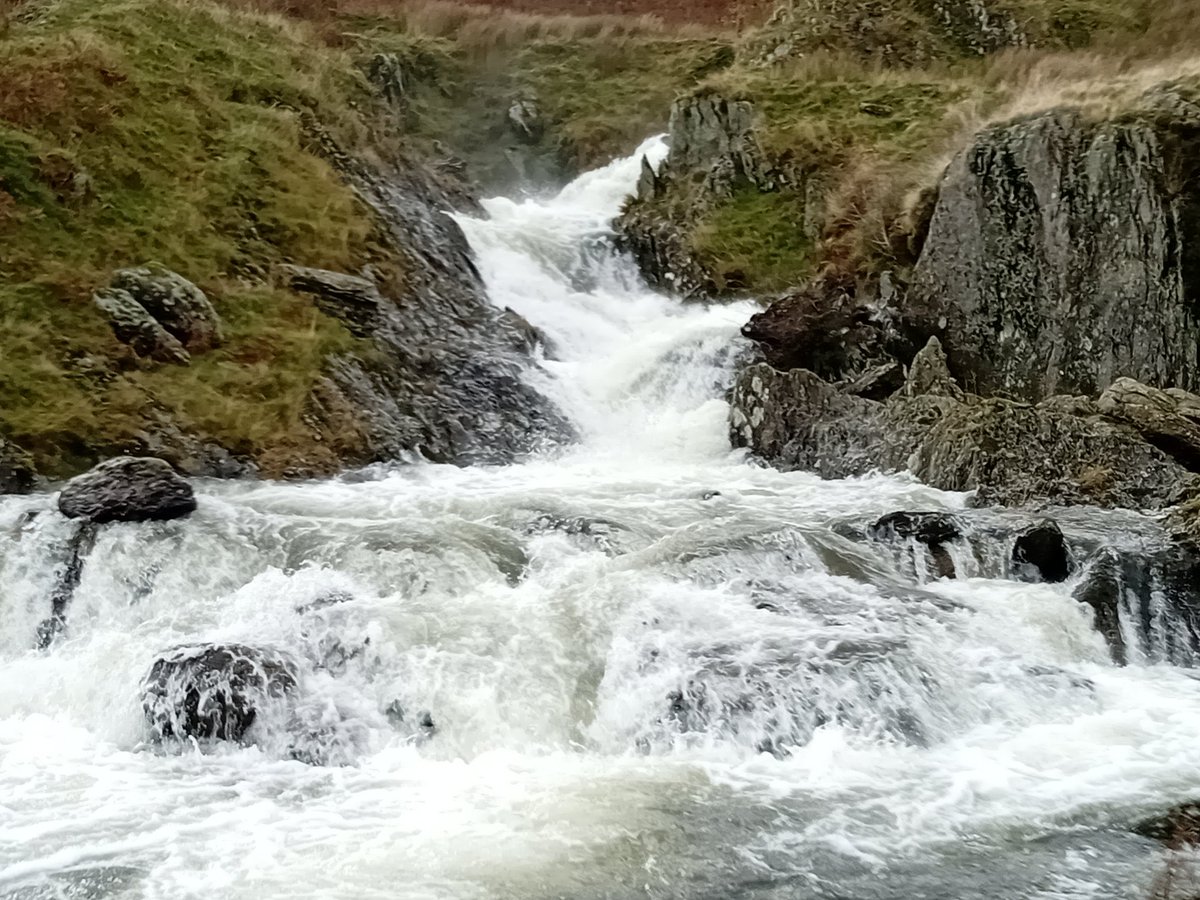 CascadeCumbria (@northwestfoss) on Twitter photo Round 1 Grid 8 #TorrentTrophy2024
<a href="/HayleyhHoward/">Hayley Twigs in Hair Figgis</a>
Marlodge near Braemar
<a href="/theOfficeRabbit/">Mrs OR πΊπ¦</a>
Among the leaves so green. Eskdale.
xxxxπ
<a href="/tutty352/">elizabeth tutty</a>
Zigzags at Forces Falls, Swindale
@tim_nobes
River Kent at Kentmere Reservoir
Poll below π Round 1 Grid 8 #TorrentTrophy2024
<a href="/HayleyhHoward/">Hayley Twigs in Hair Figgis</a>
Marlodge near Braemar
<a href="/theOfficeRabbit/">Mrs OR πΊπ¦</a>
Among the leaves so green. Eskdale.
xxxxπ
<a href="/tutty352/">elizabeth tutty</a>
Zigzags at Forces Falls, Swindale
@tim_nobes
River Kent at Kentmere Reservoir
Poll below π