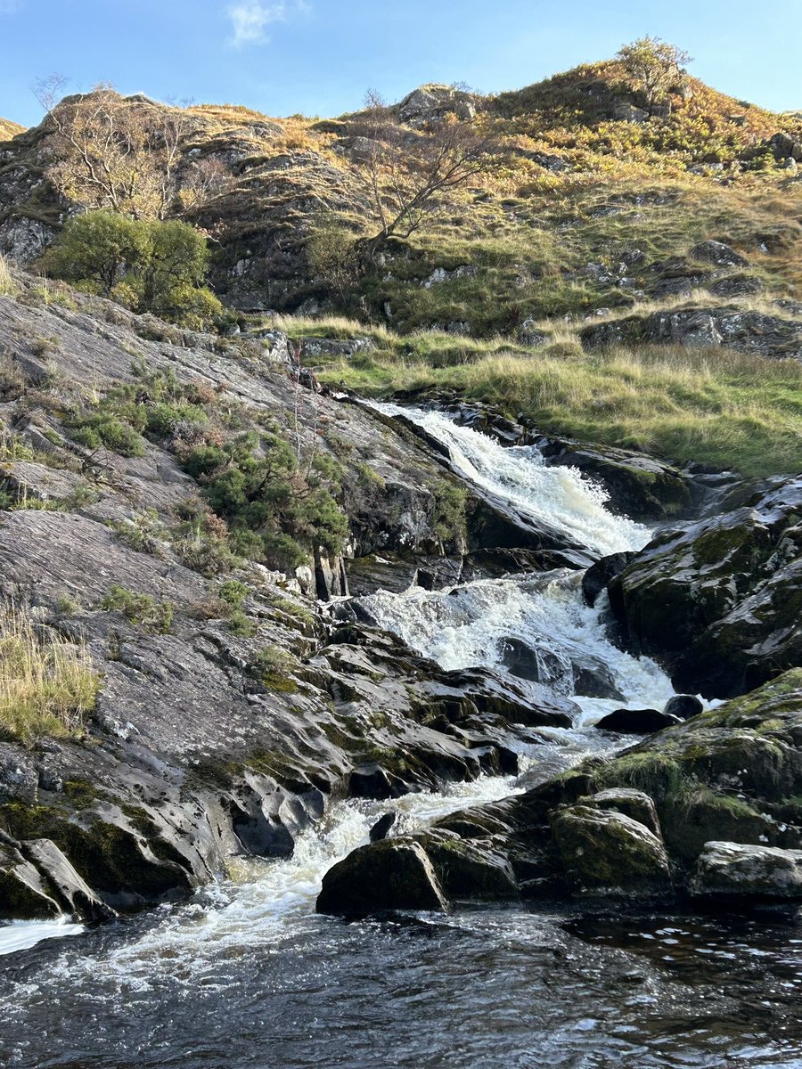 CascadeCumbria tweet media