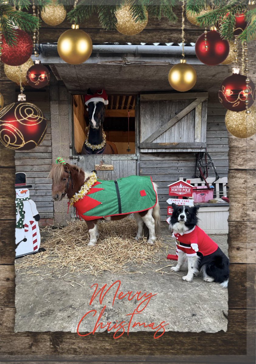 Tracy35906640's tweet photo. Little photo shoot today for our Christmas cards ❤️ https://t.co/FupHP9ocWh