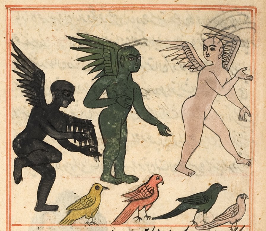 the jinn have a unique relationship with animals, reputedly shapeshifting into cats, dogs, snakes, and birds

Some are said to have wings and some can turn into birds like below