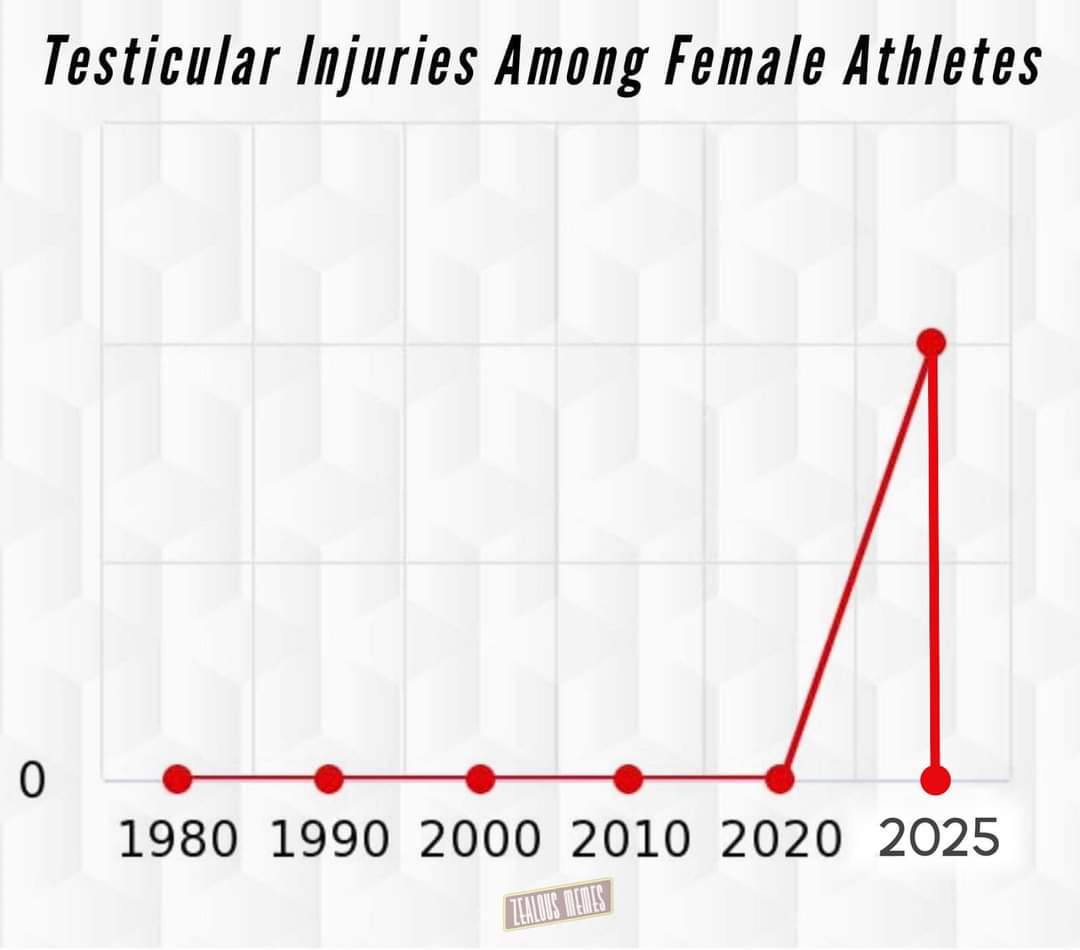 repomon's tweet image. 