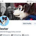 Photo by Dexter (@DexterDogy)