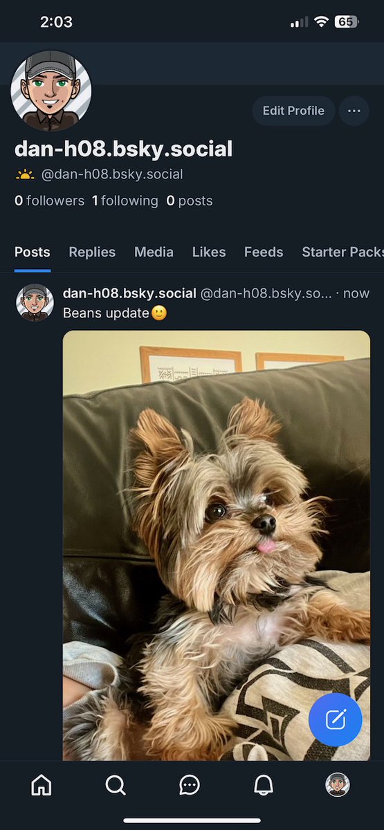 dan 🕶☀️ tweet media