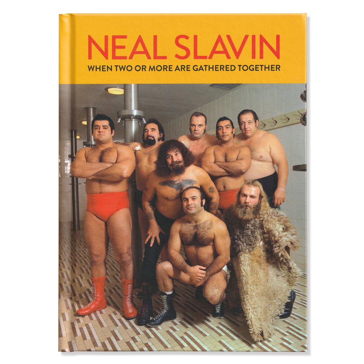 PDNB Gallery tweet media