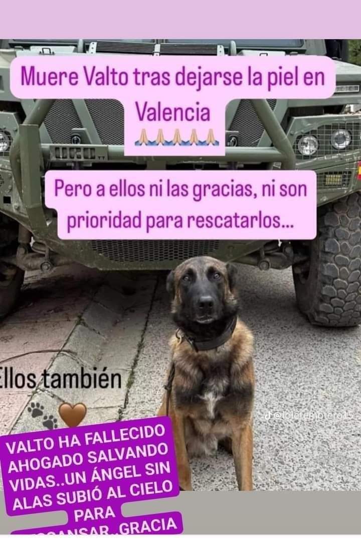 Son seres vivos también!!
