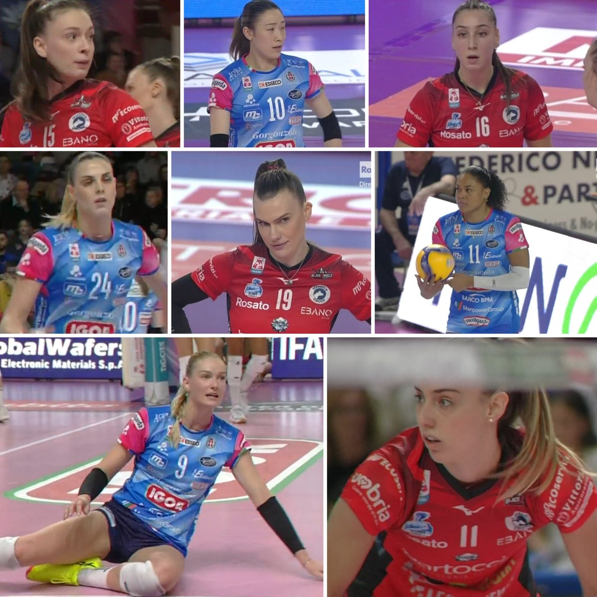 darko bay tweet media