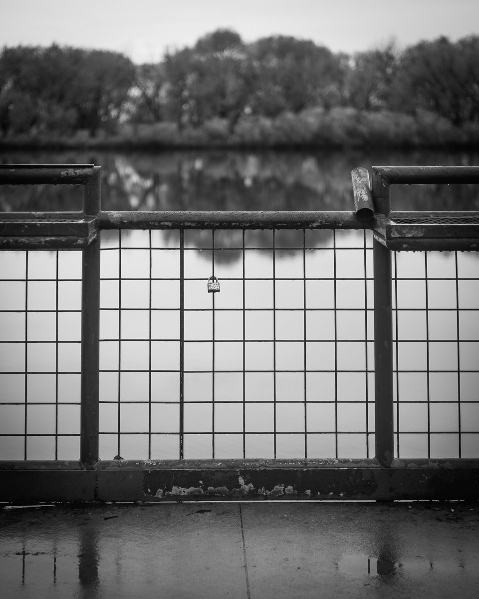 kevinosx's tweet image. A cool and overcast day today, so decided it might be a good opportunity to just use my 50mm lens.