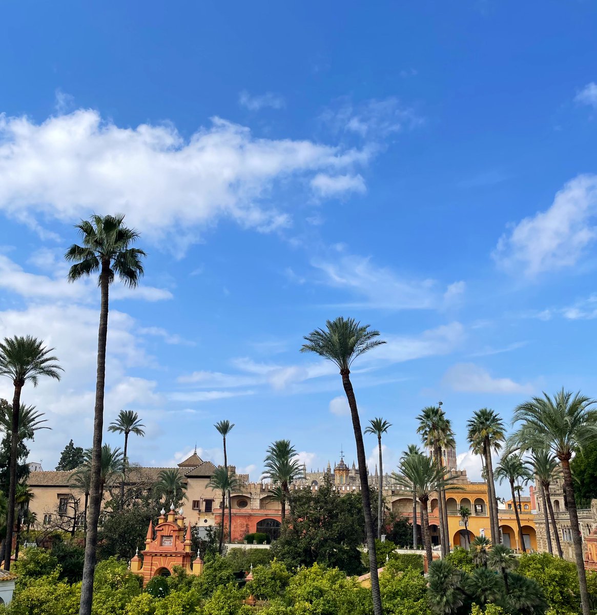 Marta Bagüés Bautista tweet media