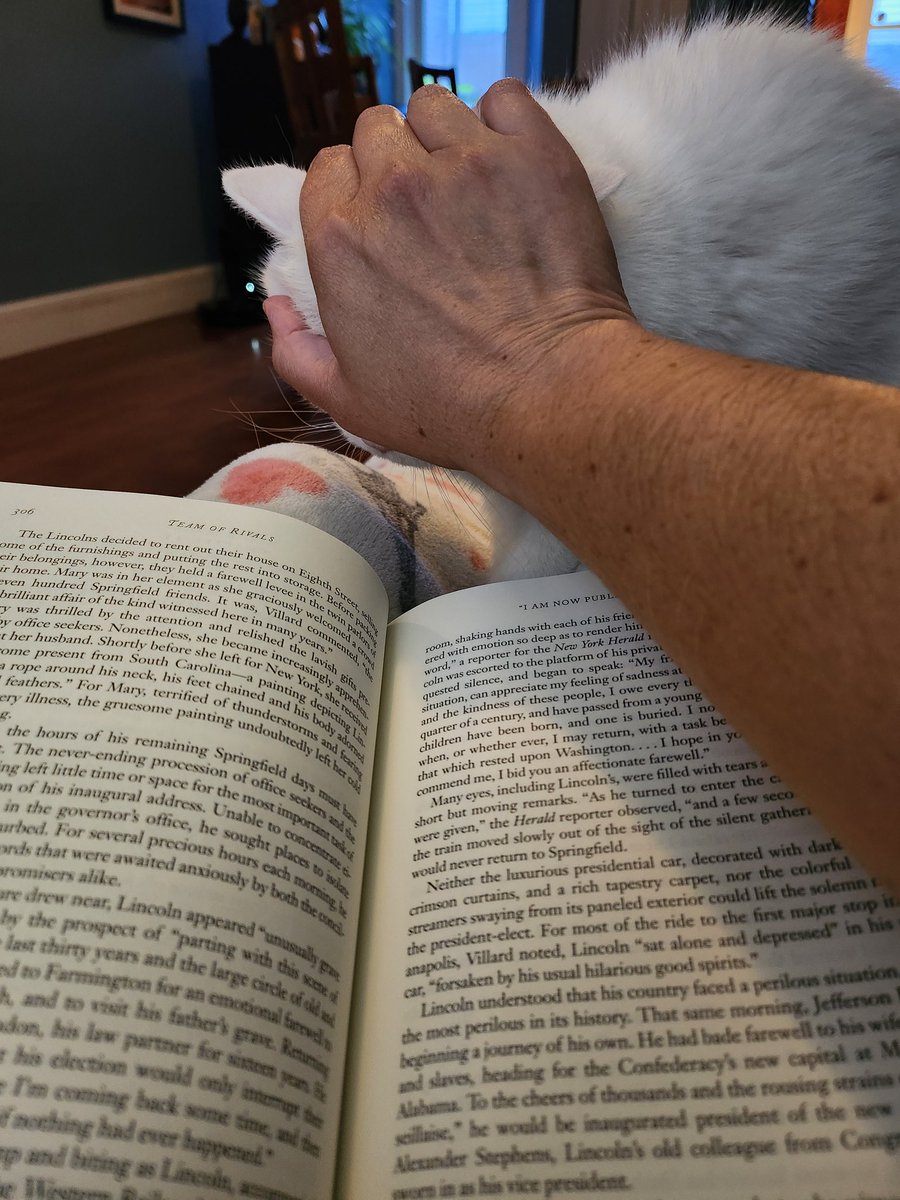 I finally made an account on the other app (same handle) and I like it there! I've also been reading more which my cat doesn't understand