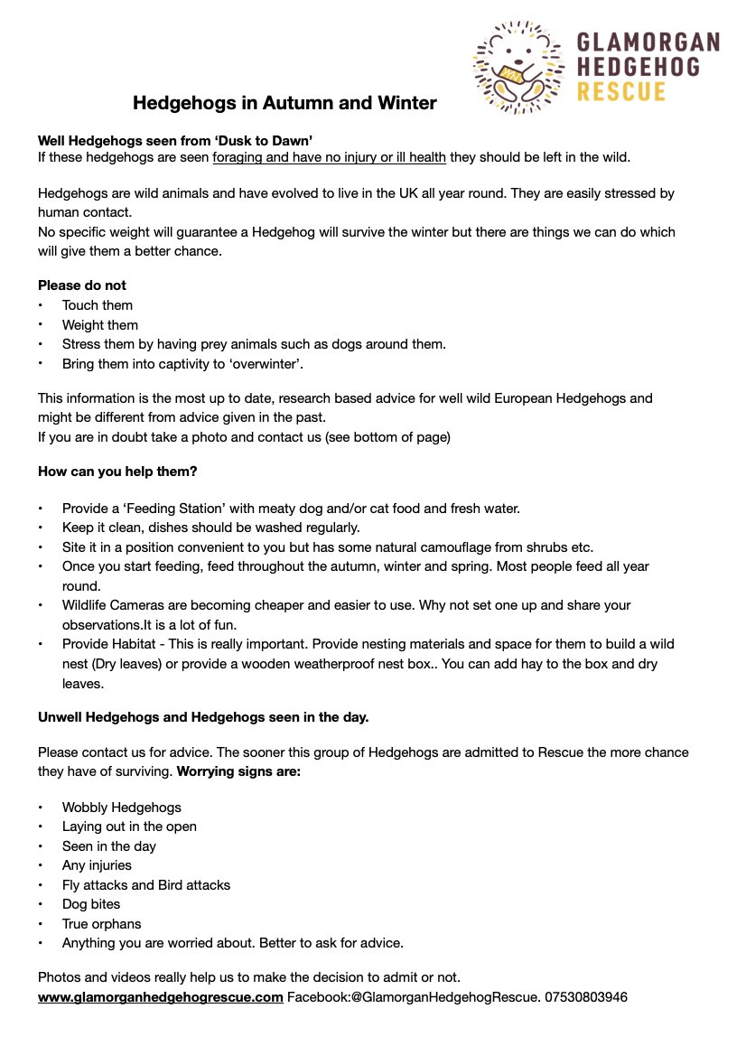 Glamorgan Hedgehog Rescue tweet media