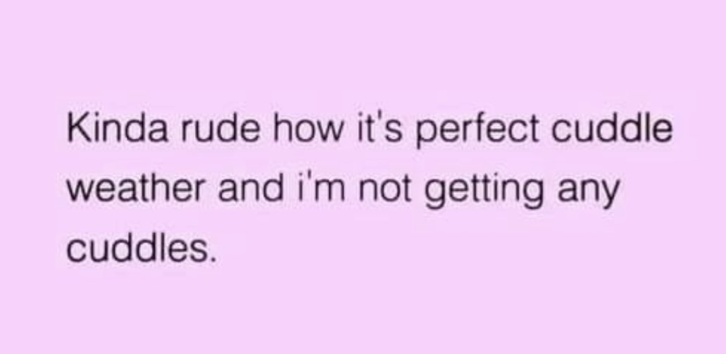 Chase 🦊 tweet media