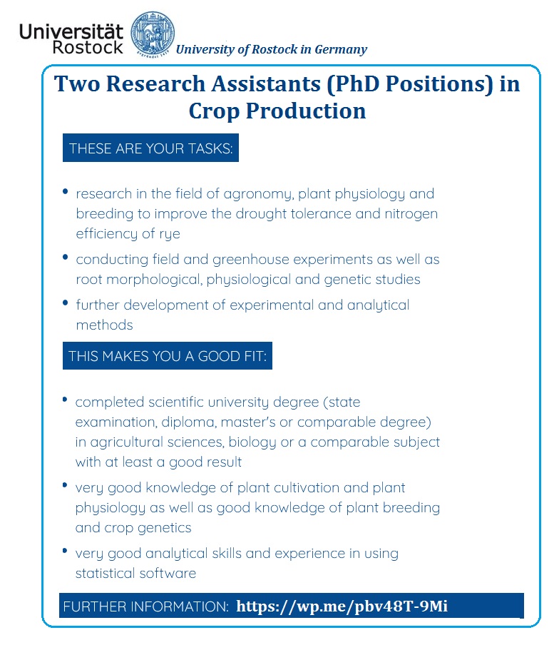 Agristok (@agristok) on Twitter photo 📌 2 Two Research Assistants (PhD Positions) in Crop Production 🌱🧬 at University of Rostock in Germany 🇩🇪... Please share and spread the word! For details visit: wp.me/pbv48T-9Mi 📌 2 Two Research Assistants (PhD Positions) in Crop Production 🌱🧬 at University of Rostock in Germany 🇩🇪... Please share and spread the word! For details visit: wp.me/pbv48T-9Mi