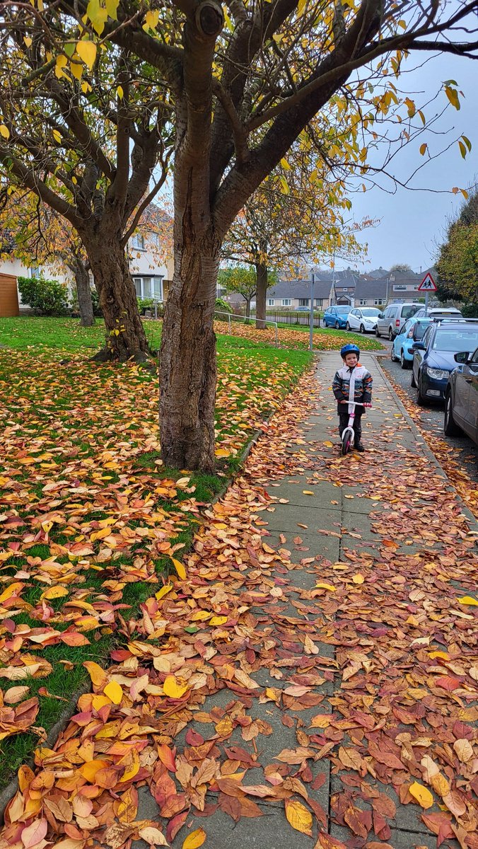 Dr Emily Cooper tweet media