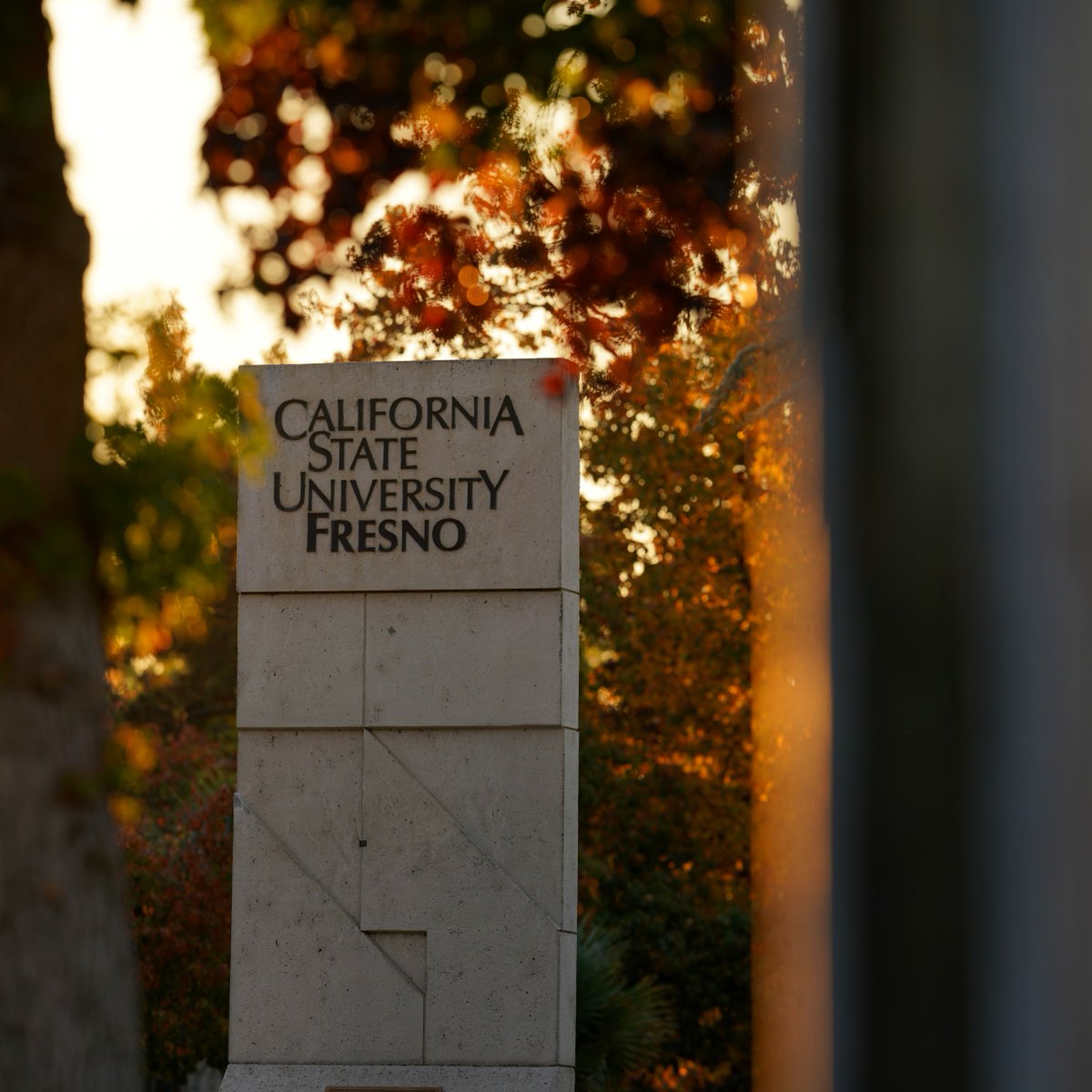 The library will be closed this Monday in observance of Veterans Day. We’ll be back to regular hours on Tuesday. #FresnoState