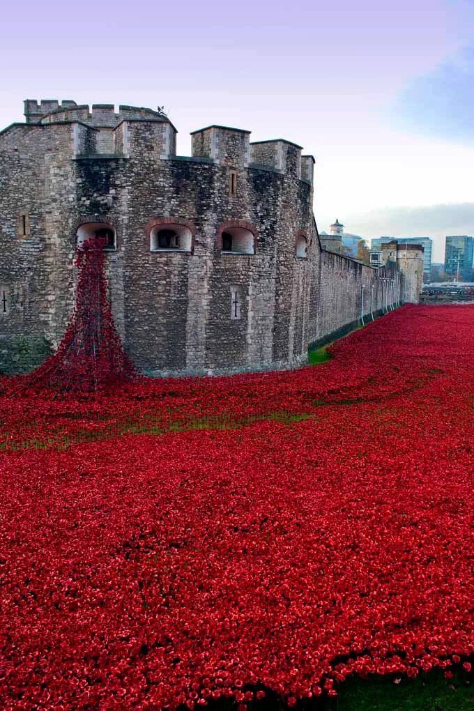 Over Land & Sea tweet media