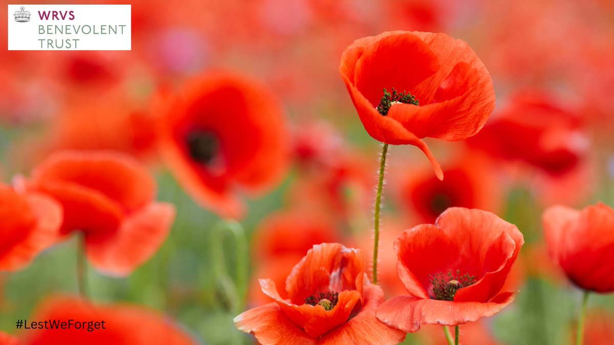 #LestWeForget 
On this Remembrance Sunday, we honour the courage and sacrifice of those who served for our freedom.