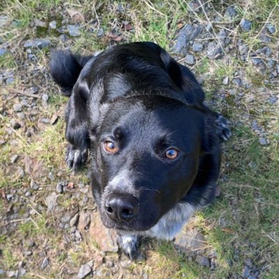#NewProfilePic