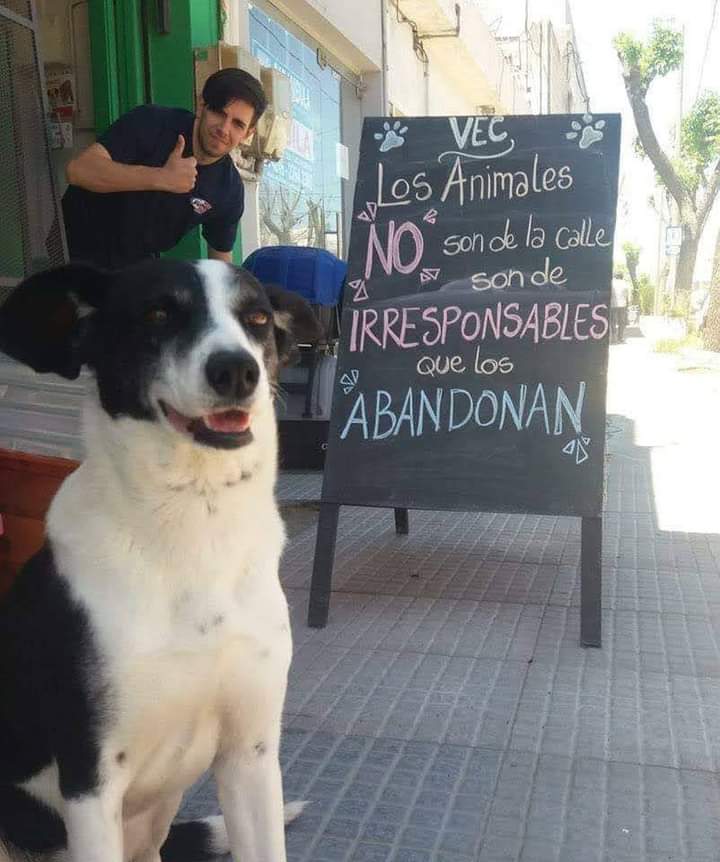 GRamirezF_D12's tweet photo. No los abandones ❤️
Créditos al autor de la foto. https://t.co/7B2uAypNcs