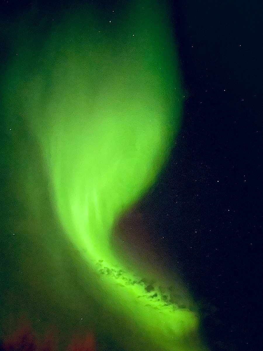 OliveAgent's tweet image. Саамите вярват, че ако пееш, говориш или дори подсвиркваш на северното сияние, тези танцуващи в небето призрачни души ще те чуят и ще те вземат… И този път не ме взеха 😅, мисля че шумната ми балканска личност им идва в повече…