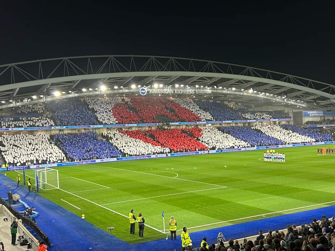 Albion Roar BHAFC tweet media