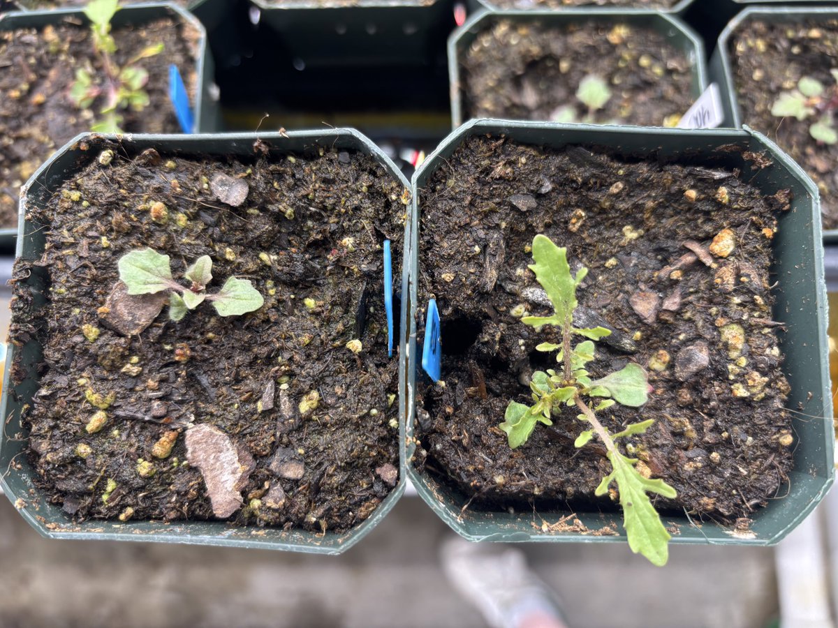 Jill M. Love 🏳️‍🌈✨ tweet media