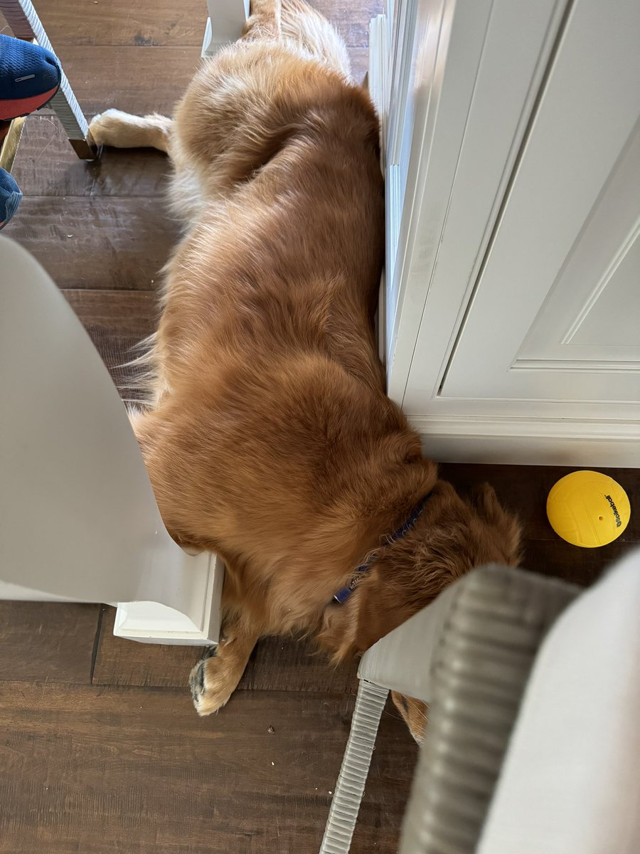 Sara Edwards, MD tweet media