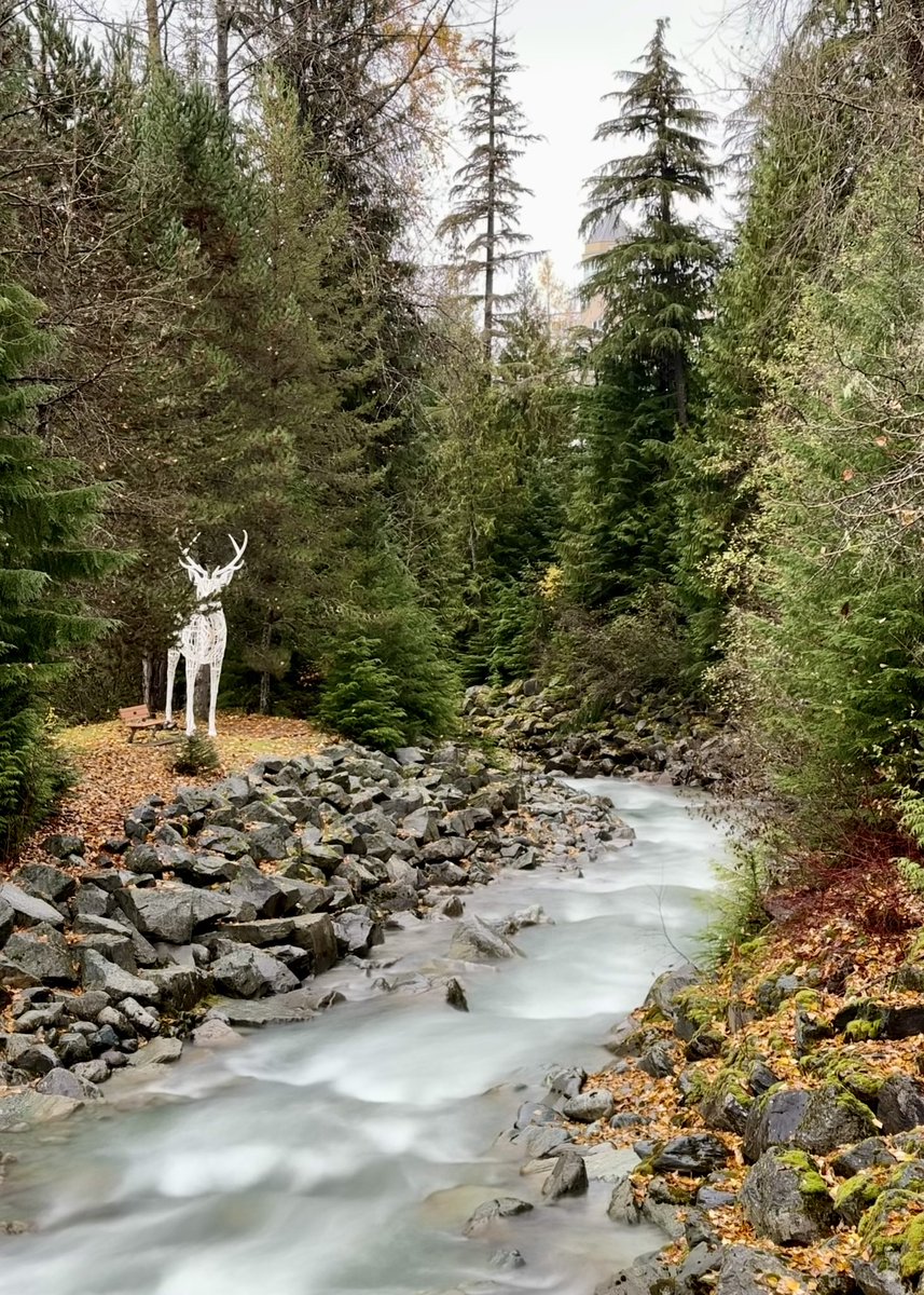 RyanVoutilainen's tweet photo. A walk through the pathways of #Whistler Village on a misty, drizzly afternoon in between weather systems.
Fitzsimmons Creek through Rebagliati Park.
#ShareYourWeather #RMOW #YVRwx #BCwx #BCstorm #BCstormwatch https://t.co/7huJ8rBgHB