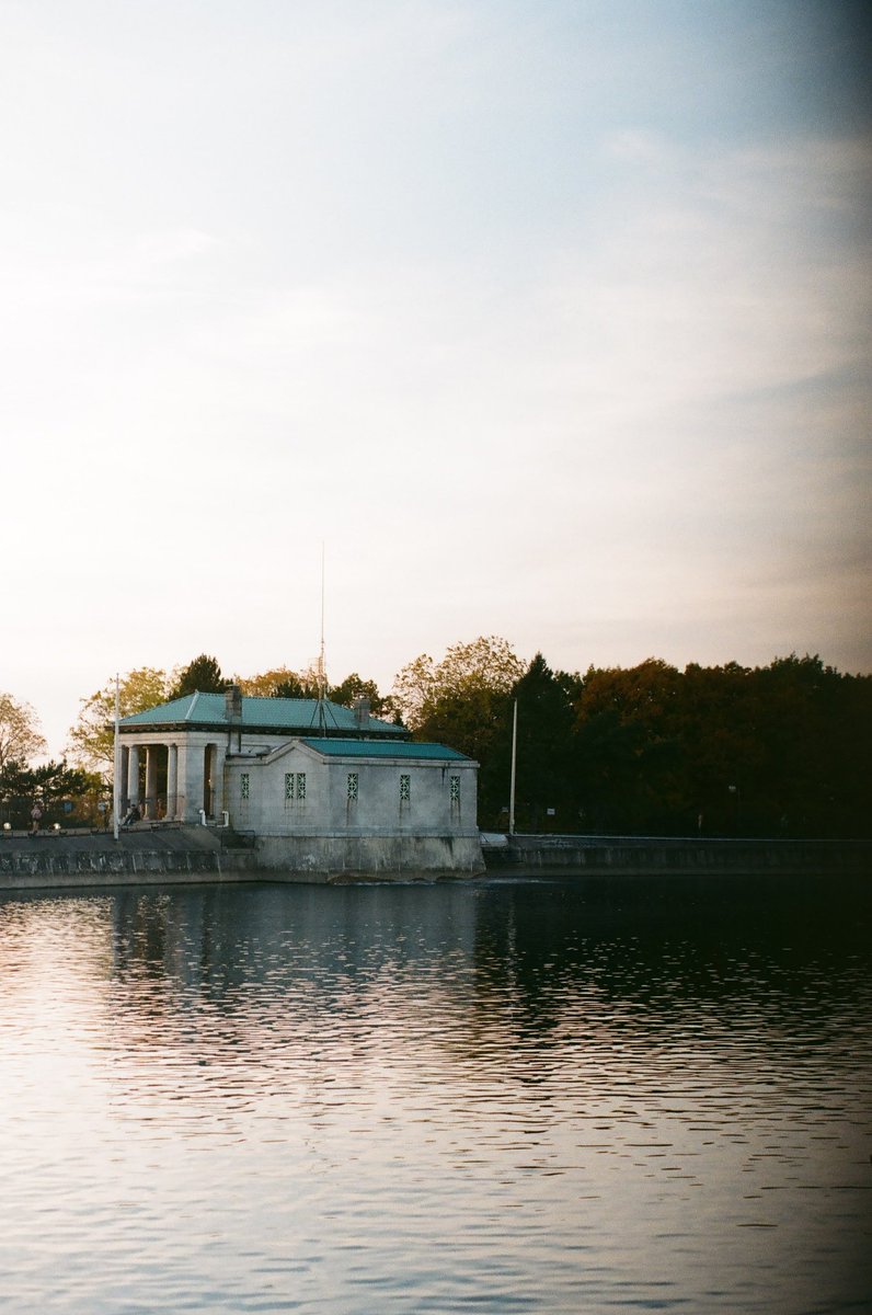 Beth Larter tweet media