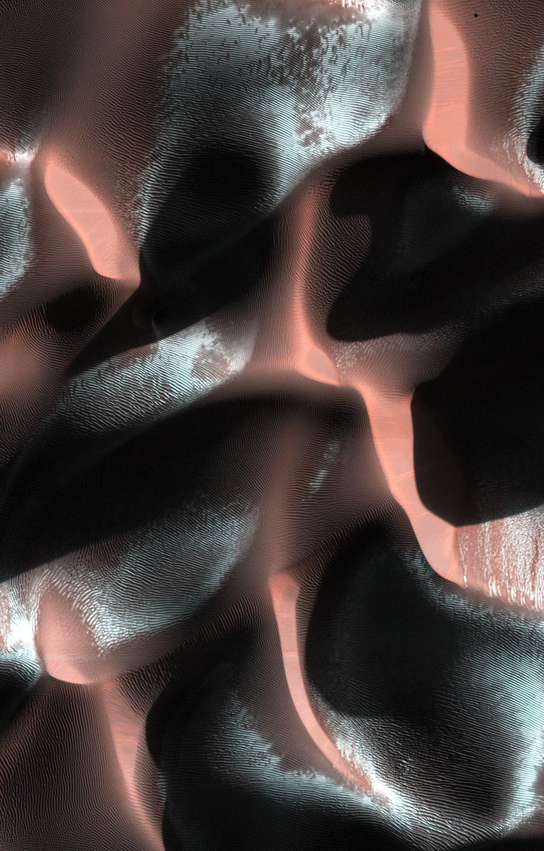 CuriosityonX's tweet photo. Martian sand dunes covered in dry ice

Image from the Mars Reconnaissance Orbiter satellite.❄ https://t.co/8CVowu22e0