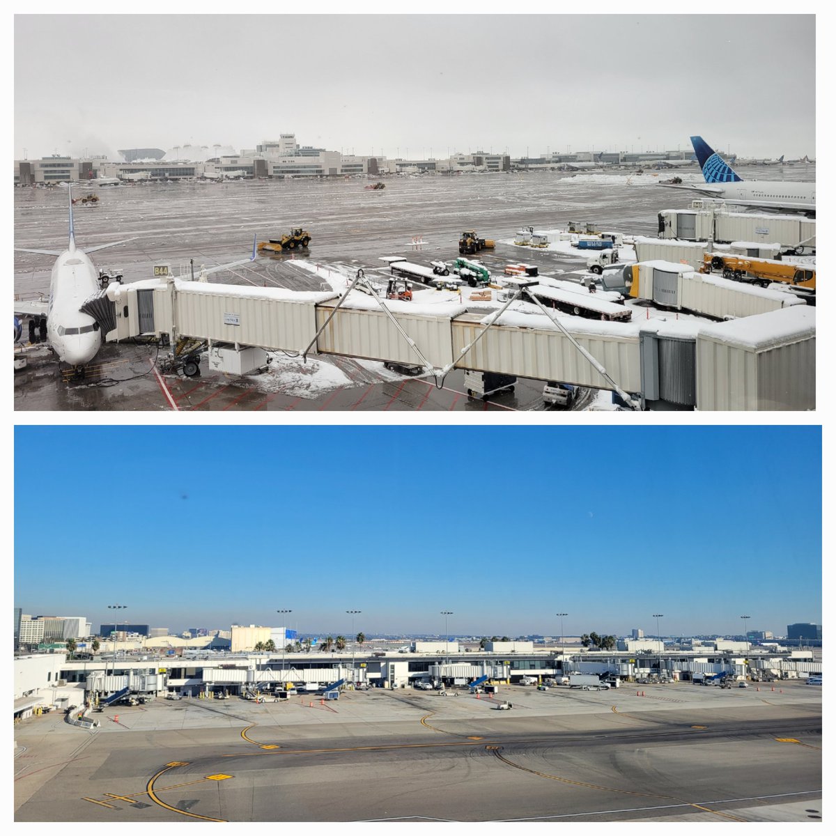 TravelMonk2's tweet photo. From wintery mix to dry and sunny!! DEN - LAX.  Yay! #chillinwithTM2 #TM2Verified ✅️🐒 https://t.co/KD1zBX5JBV
