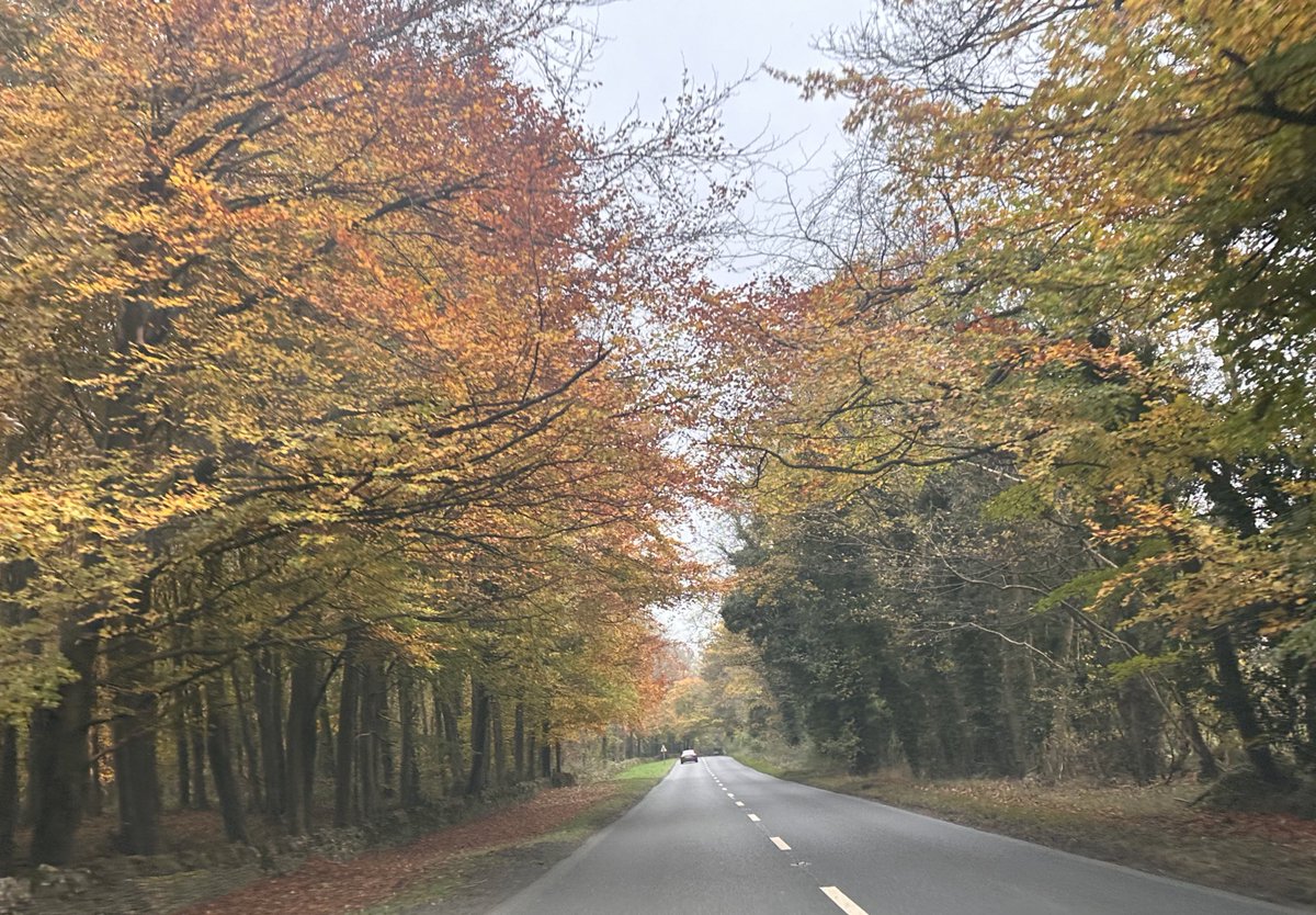 Tom Stephenson tweet media