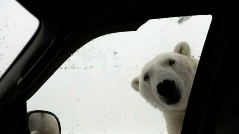 Cuando vas pasando por la autopista norte en Bogotá