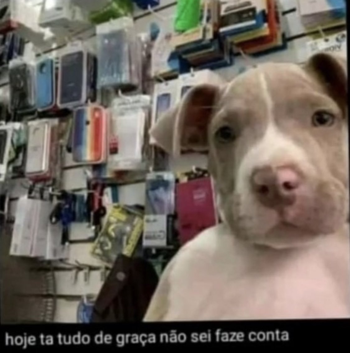 2° dia  do enem: