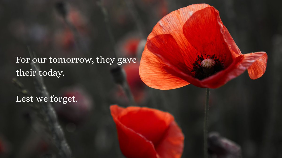 They shall grow not old, as we that are left grow old:

Age shall not weary them, nor the years condemn.

At the going down of the sun and in the morning

We will remember them.