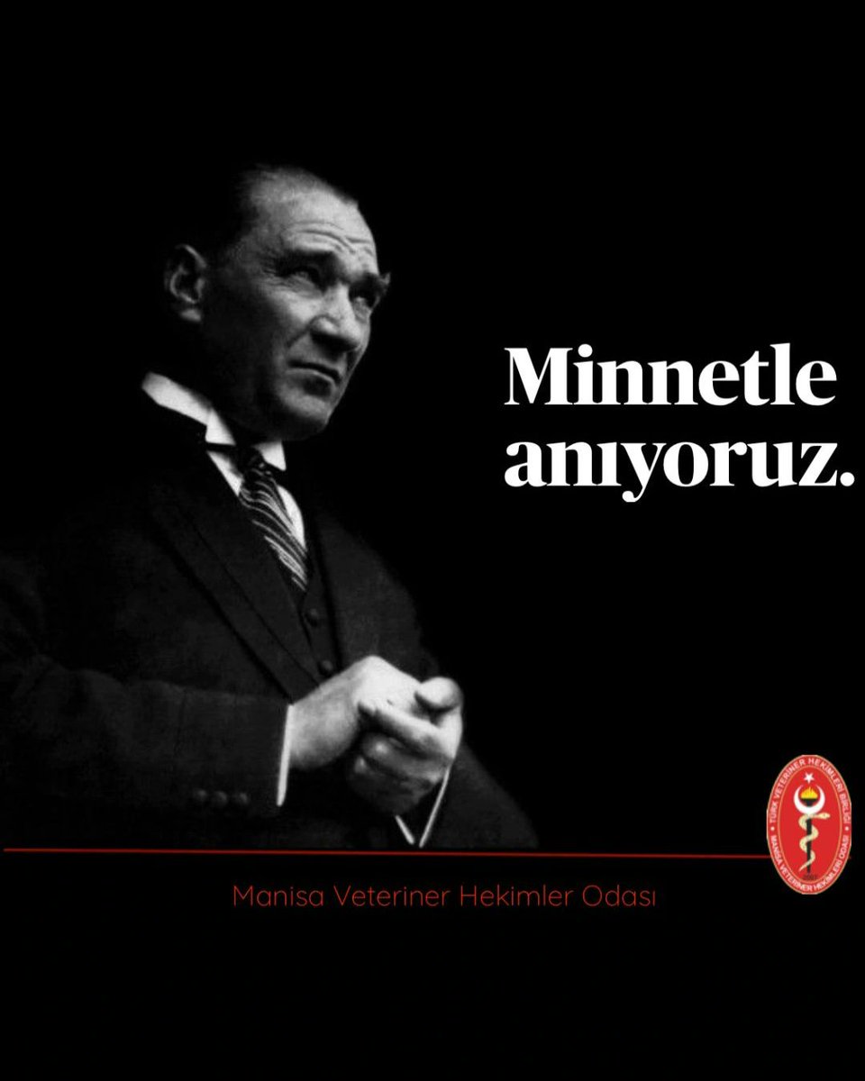 Manisa Vho (@vhomanisa) on Twitter photo 