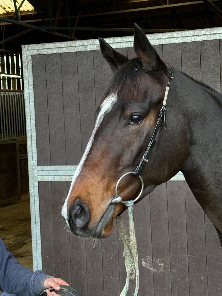 Santry Racing tweet media