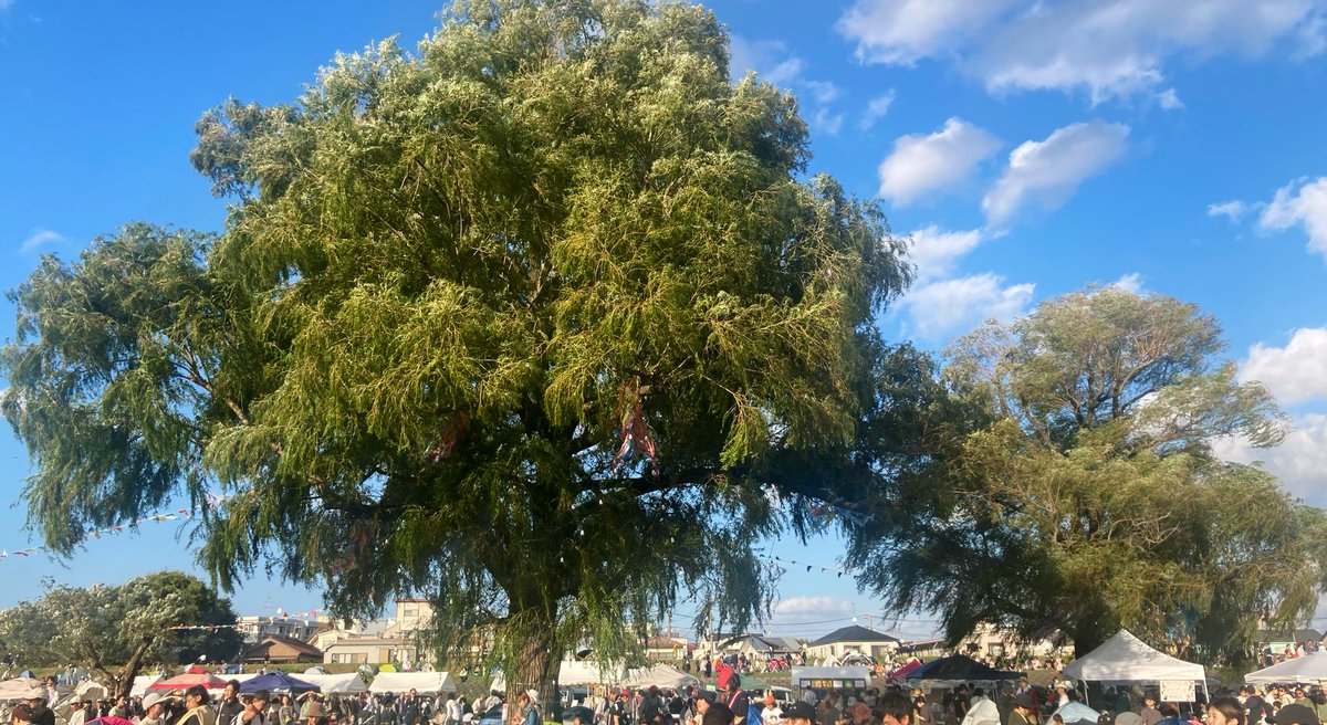 rosso_2's tweet image. お早うございます🎶
2年ぶりにTAMARIBA行ってきました〜😆
#1wd #健やか857 #コマラジ