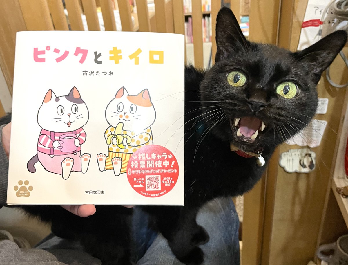 キャッツミャウブックス® on X