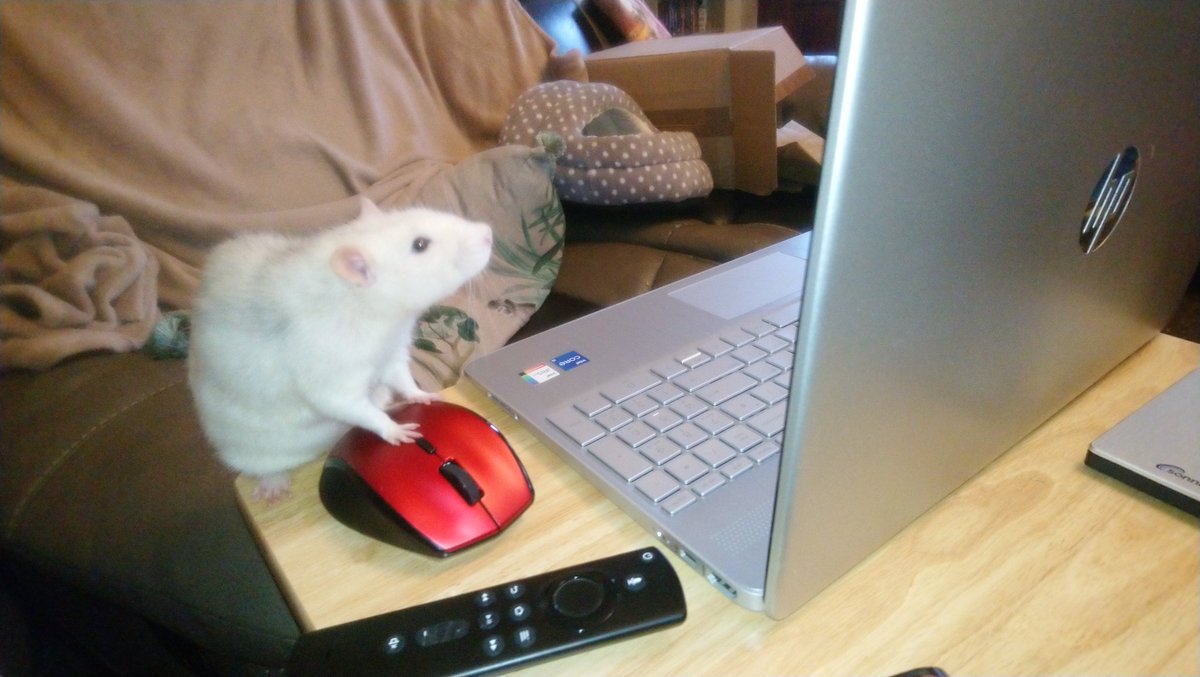 Another Middle-Aged Nerd tweet media