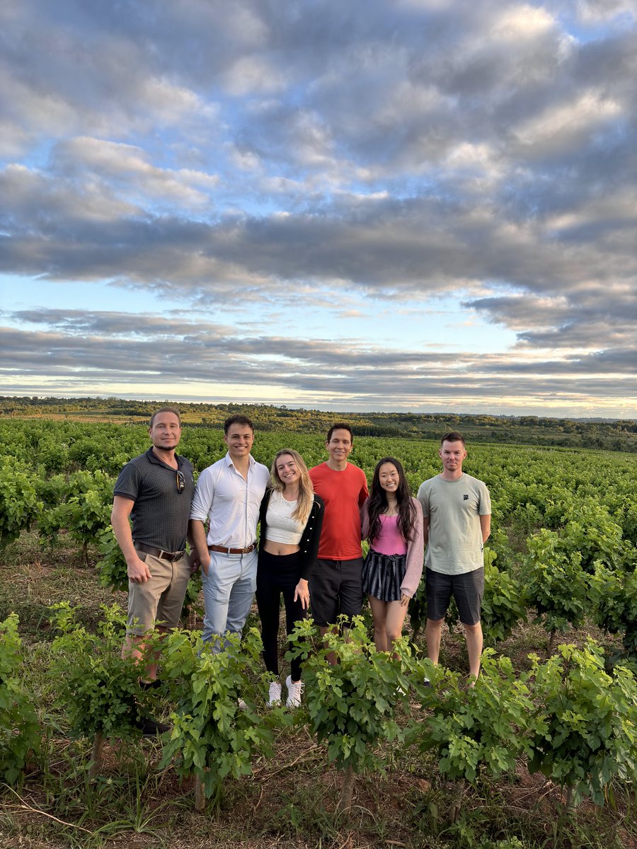 Alessandro Calvo tweet media