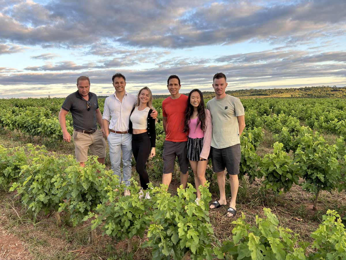 Alessandro Calvo tweet media