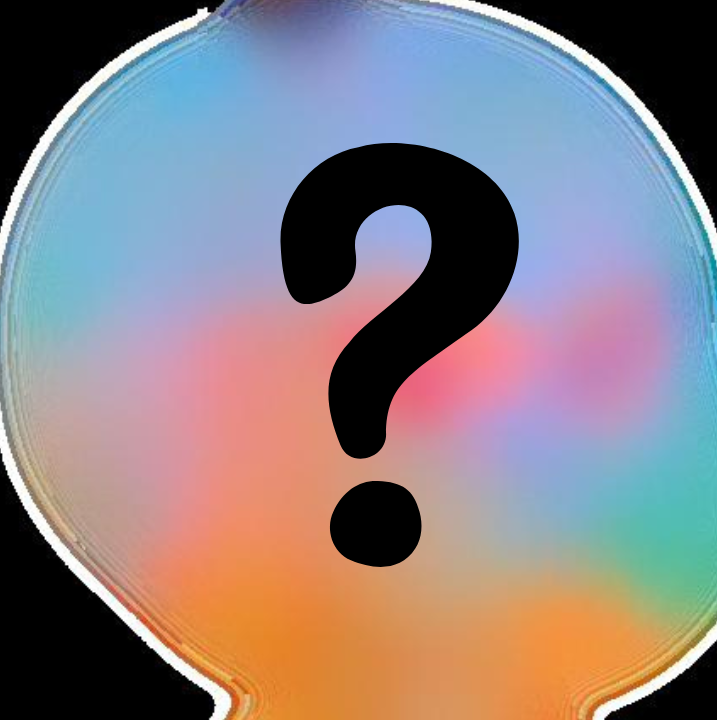 Cepod.base.eth tweet media