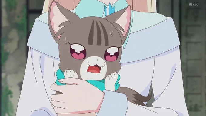 もう犬と猫になってるw  #precure 