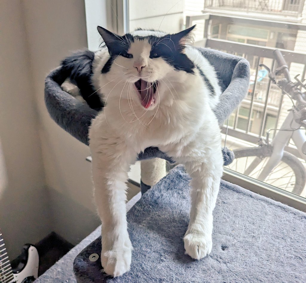 Heather C tweet media