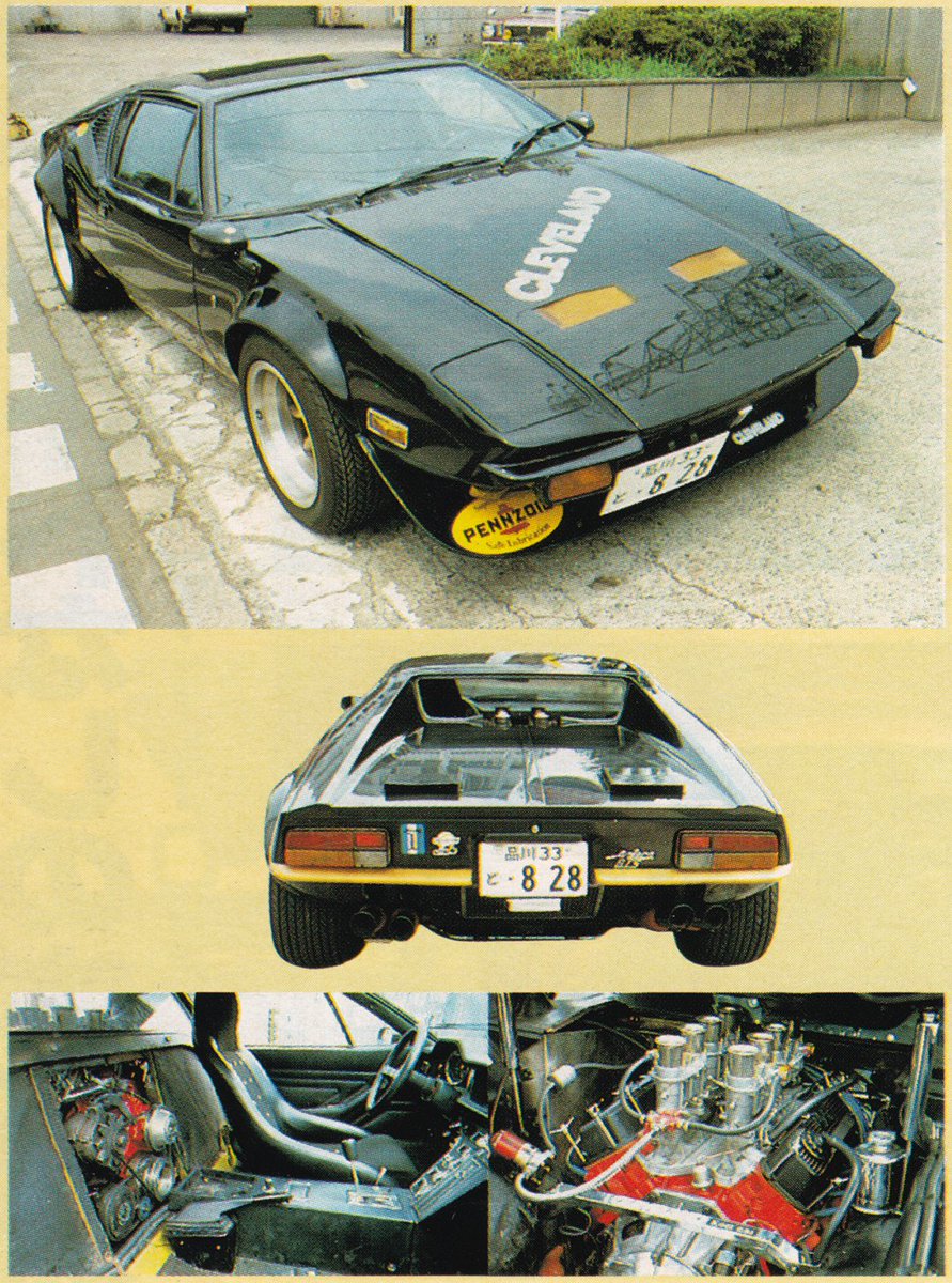 Cleveland Pantera, 1981
