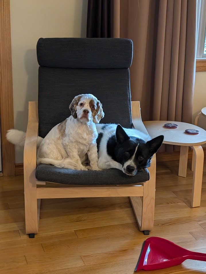 Presley Hynes tweet media