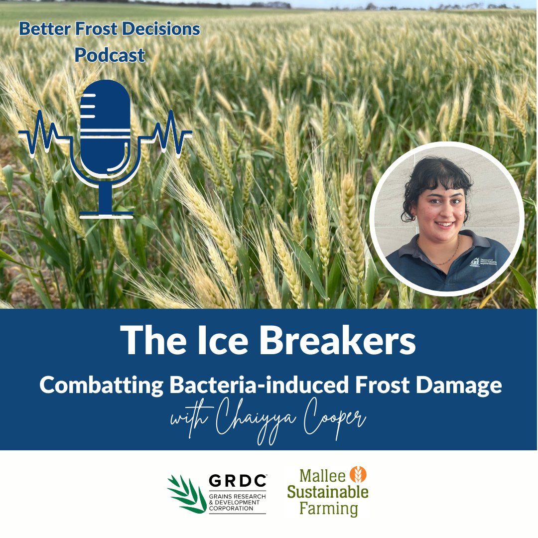 Mallee Sustainable Farming tweet media