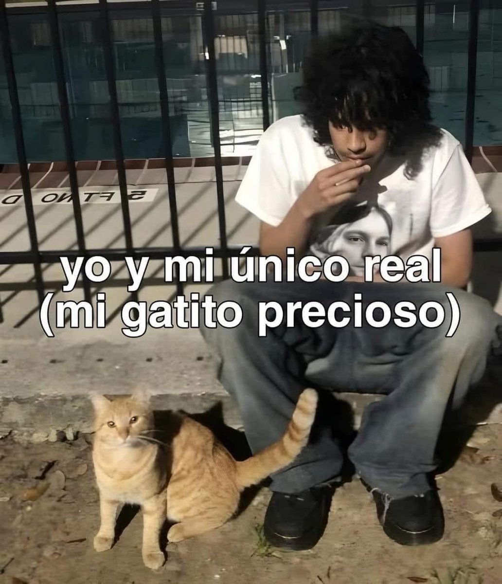 Dilo con gatitoz (@dilocongatitoz) on Twitter photo 