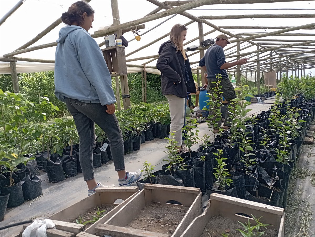Hoy, nos recibió Héctor Nicassio, productor orgánico de frutales. Un gran docente, nos volvimos con mas conocimiento, motivación, y comiendo duraznos espectaculares... Gran valor del Montevideo Rural