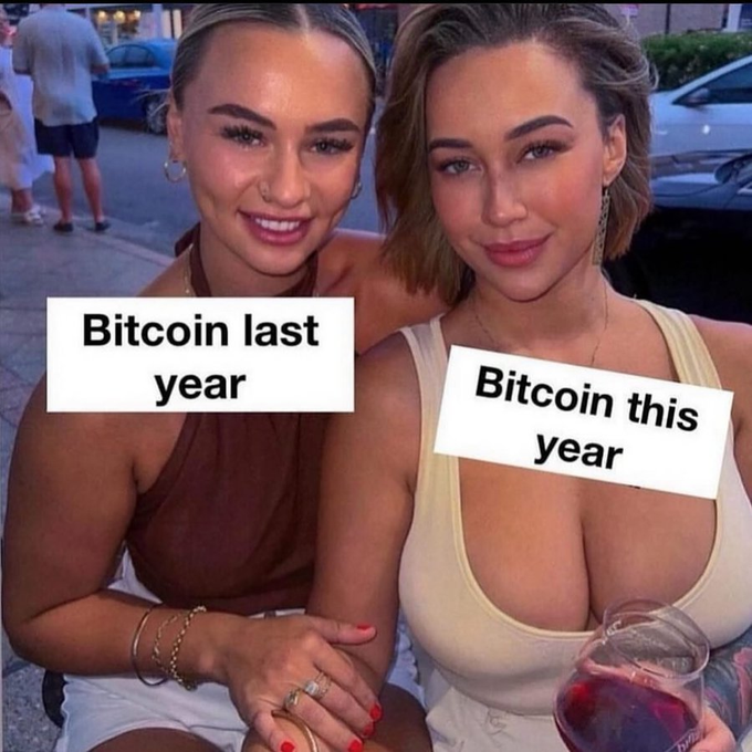 Not Elon Musk tweet media